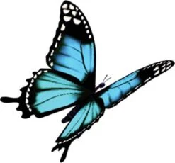 Robijn Klein & Krachtig Wasmiddel Black Velvet 1,19 Liter -Beste Wasserie Winkel 1200x1118 1