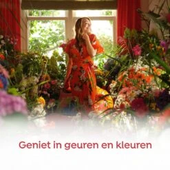 Robijn Klein & Krachtig Rosé Chique Vloeibaar Wasmiddel - 8 X 19 Wasbeurten - Voordeelverpakking -Beste Wasserie Winkel 1200x1200 163