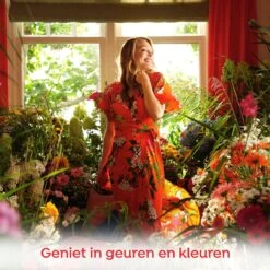 Robijn Klein & Krachtig Color Vloeibaar Wasmiddel - 8 X 20 Wasbeurten - Voordeelverpakking 14 Robijn Klein & Krachtig Color Vloeibaar Wasmiddel - 8 X 20 Wasbeurten - Voordeelverpakking -Beste Wasserie Winkel 1200x1200 291